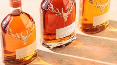 Large Dalmore Distilleryselect Location Finals 0047